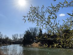 -思念果岭悦温泉