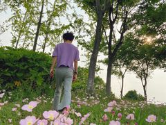-滆湖低碳生态公园