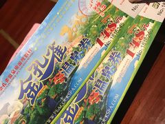 -金孔雀温泉旅游度假村