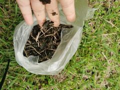 -白塘生态植物园