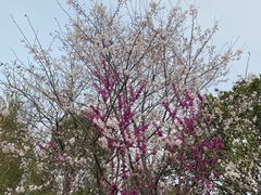 -杭州城北体育公园