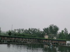 -特种渔场