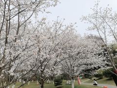 -堤角公园