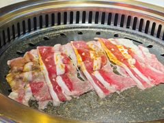 -杨记齐齐哈尔烤肉(总店)