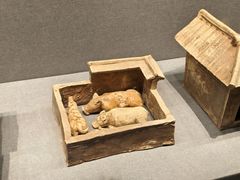 -广西壮族自治区博物馆