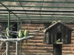 -新疆天山野生动物园