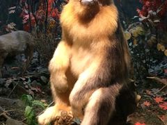 -陕西自然博物馆