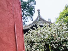 -报恩寺(平武县)