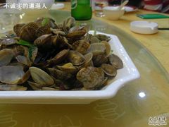 辣炒蛤蜊-海岛渔村大酒店(云霄路店)