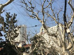-上海市普陀区中心医院