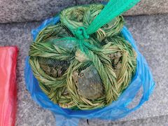 -高淳老街