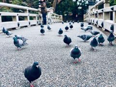 -京都御所
