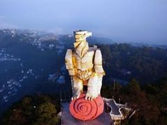 -大金鹰园