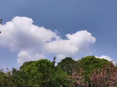-南山植物园