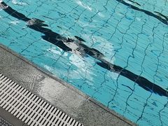 -汇乐游泳馆(莲花南路店)