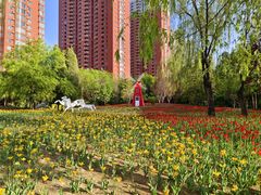 -迎泽公园