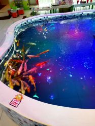 -堂堂乐儿童乐园(阳光100欧特福店)