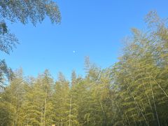 -宜兴龙背山森林公园