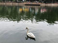 -石家庄市动物园