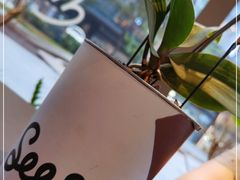 -Seesaw Coffee(苏州中心店)