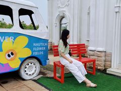 -杭州湾海上花田景区