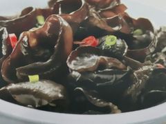 秋耳-康师傅私房牛肉面(北京南站店)