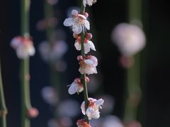-静安雕塑公园