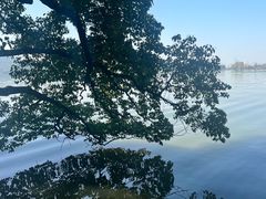 -东湖落雁景区