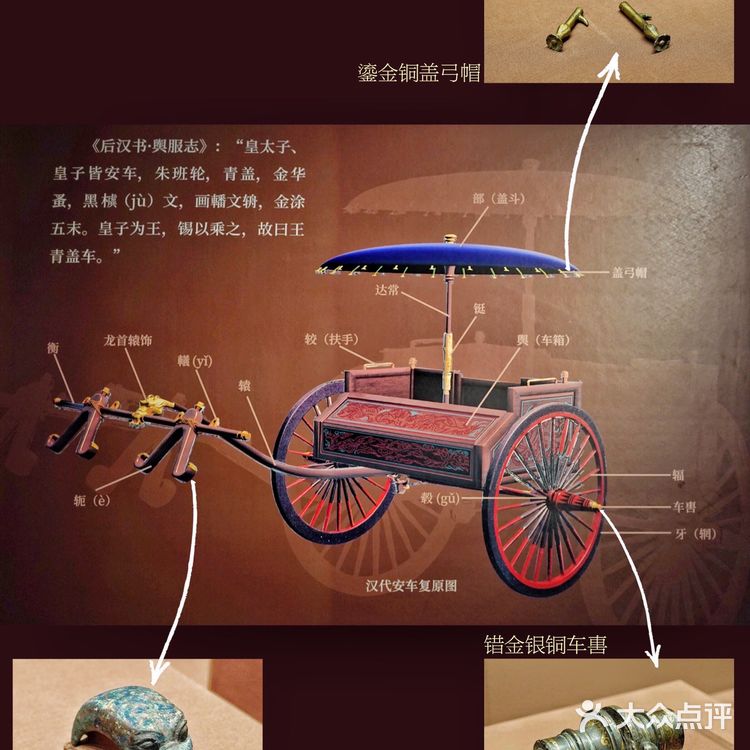 深圳“最大”的博物馆，你知道吗❓❗️