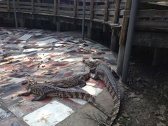 图片&nbsp;153-溱湖国家湿地公园