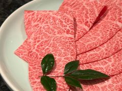 -然锅料理