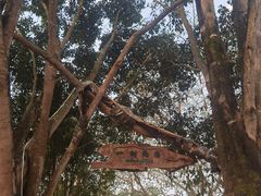 -一寨两国风景区