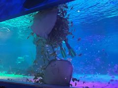 -常州海昌海洋探索馆