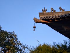 -杭州半山国家森林公园