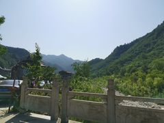 -牛背梁国家森林公园