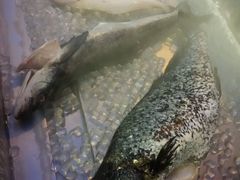 -渔家火锅·海鲜自助餐·演艺(亚龙湾天域酒店)