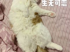 -民航总医院