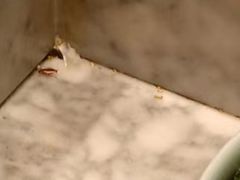 -火锅岛潮牌自助餐厅(天津天佑城店)