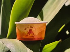 -Dip in Gelato(富民路店)