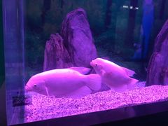 -常州海昌海洋探索馆