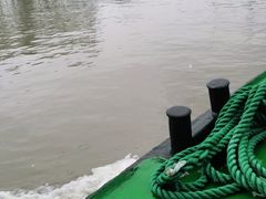 -洪湖生态旅游区