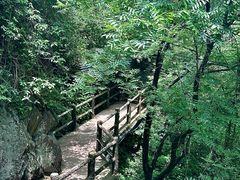 -汉中石门栈道风景区