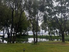 -洱海月湿地公园
