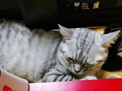 -H立方实景剧情密室(天河旗舰店)