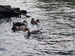 -东钱湖旅游度假区