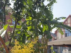 -悦见花开·花园里的火锅·露营·下午茶