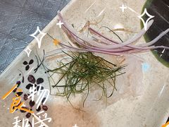-鹤睦鱼生·啫啫煲·海鲜(保利百合店)