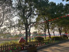 -上海都市菜园