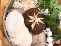 菌蔬合盘-烹然四季椰子鸡火锅(团结湖总店)