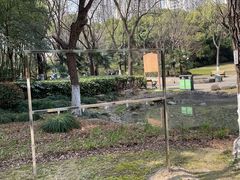 -苏州河梦清园环保主题公园